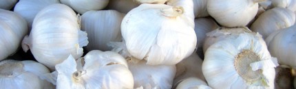 Minced Garlic Conversion Chart