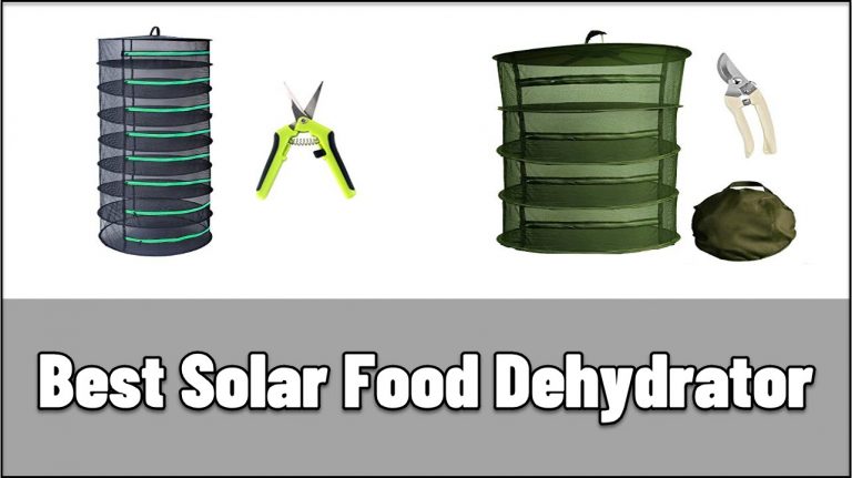 5 Best Solar Food Dehydrator in 2024