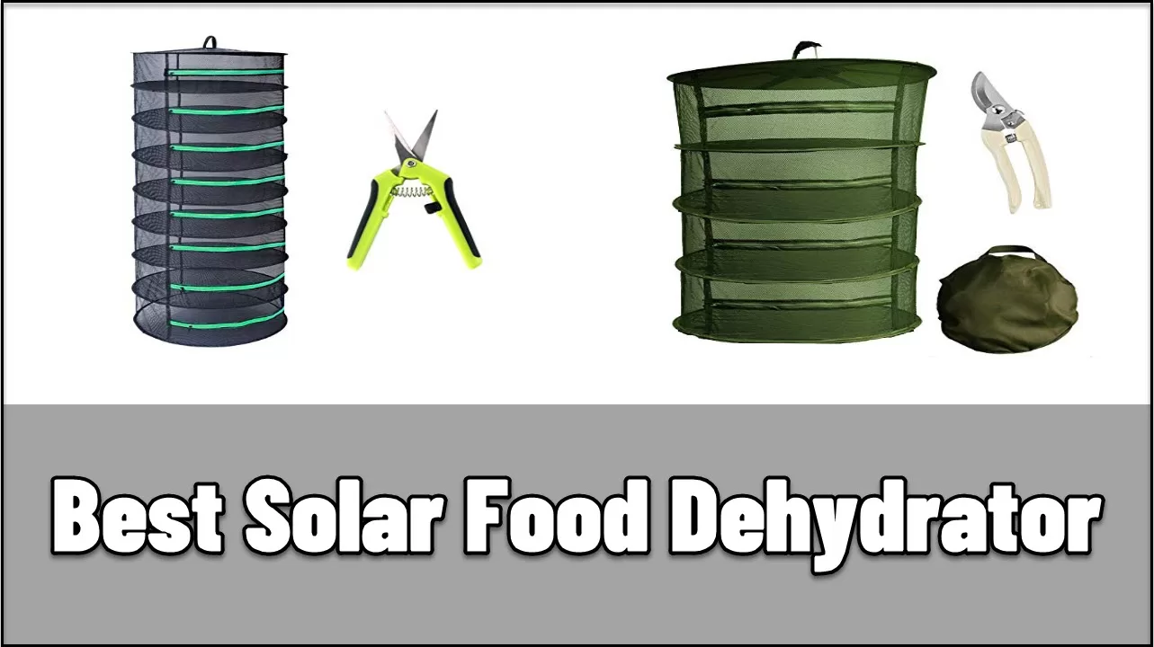 Best Solar Food Dehydrator