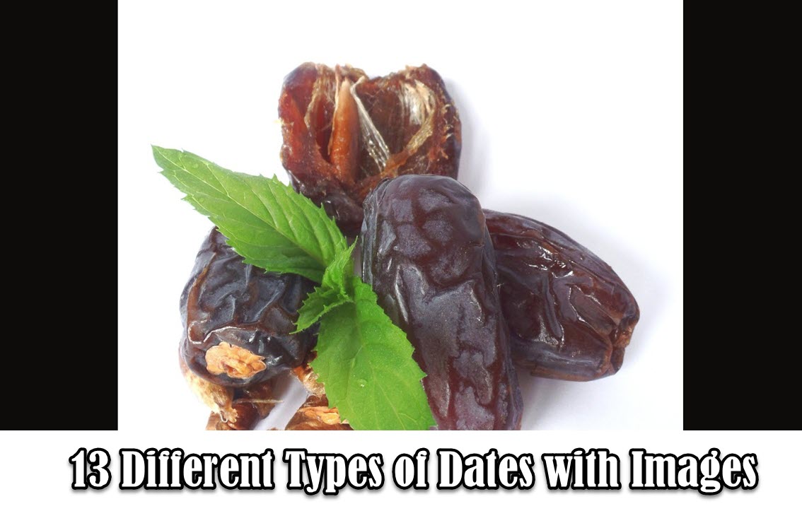 13 Different Types Of Dates With Images Asian Recipe
