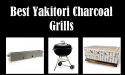 15 Best Yakitori Charcoal Grills in 2022