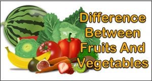 Difference Between Fruits And Vegetables