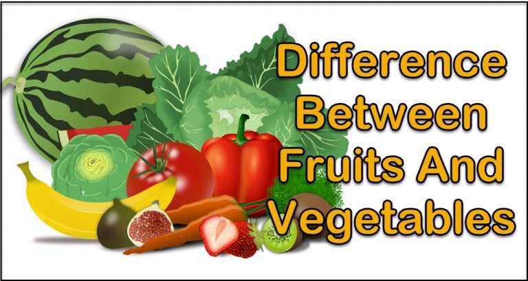 What Is The Difference Between Fruits And Vegetables