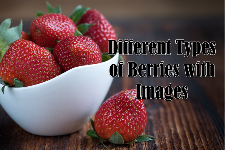 12 Different Types of Berries with Images