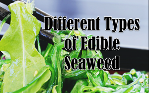 Types of Edible Seaweed