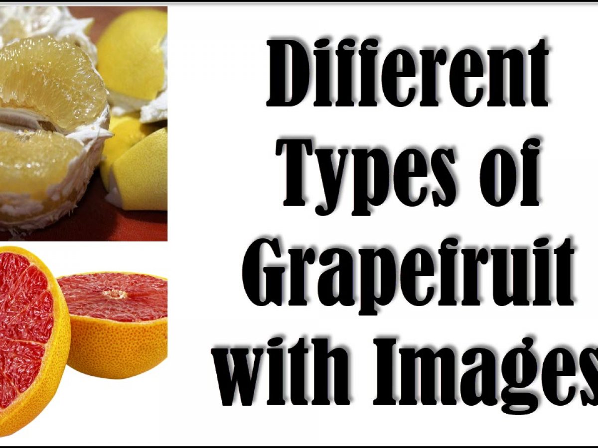 What Is Grapefruiting Mean