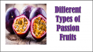 Types of Passion Fruits