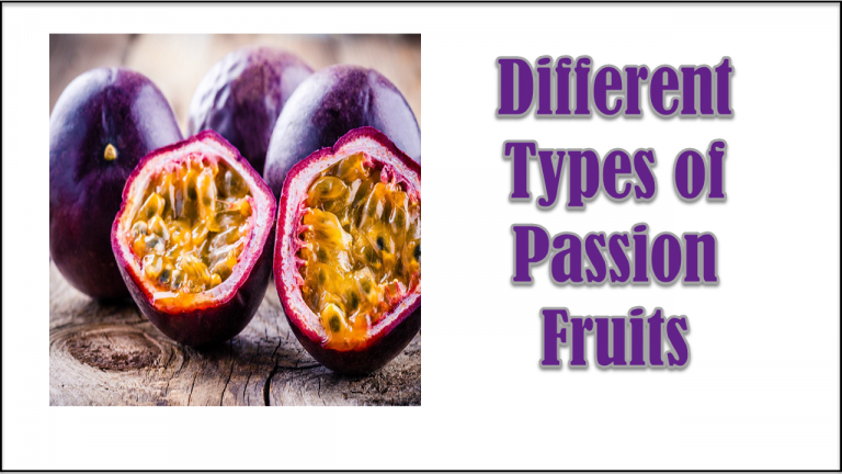 8 Different Types of Passion Fruits with Images