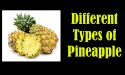 10 Different Types of Pineapple with Images