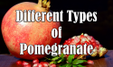 10 Different Types of Pomegranate with Images
