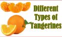 8 Different Types of Tangerines with Images