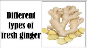 types of fresh ginger