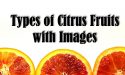 12 Types of Citrus Fruits with Images