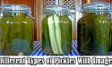 8 Different Types of Pickles With Images