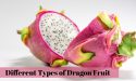 5 Different Types of Dragon Fruit With Images