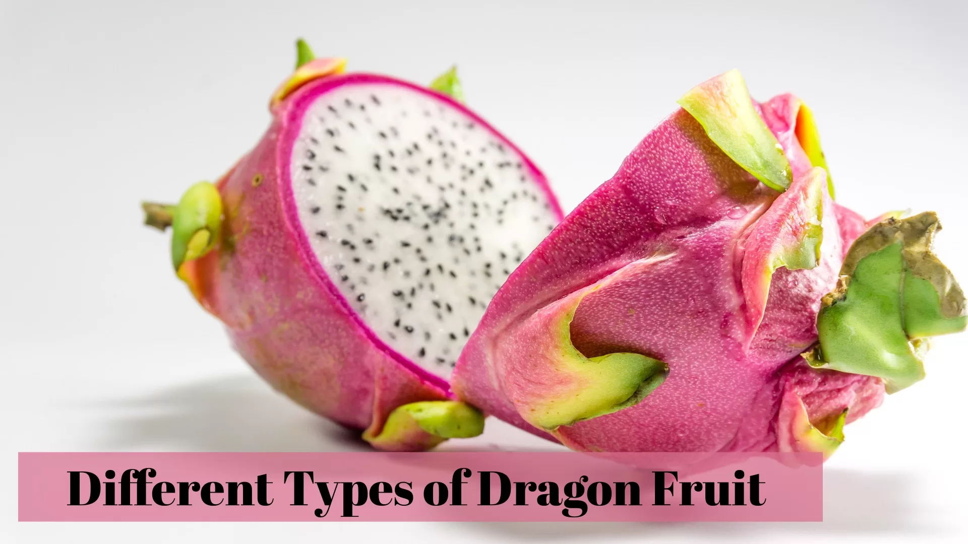 Types of Dragon Fruit