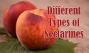 13 Different Types of Nectarines with Images
