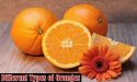 10 Different Types of Oranges with Images