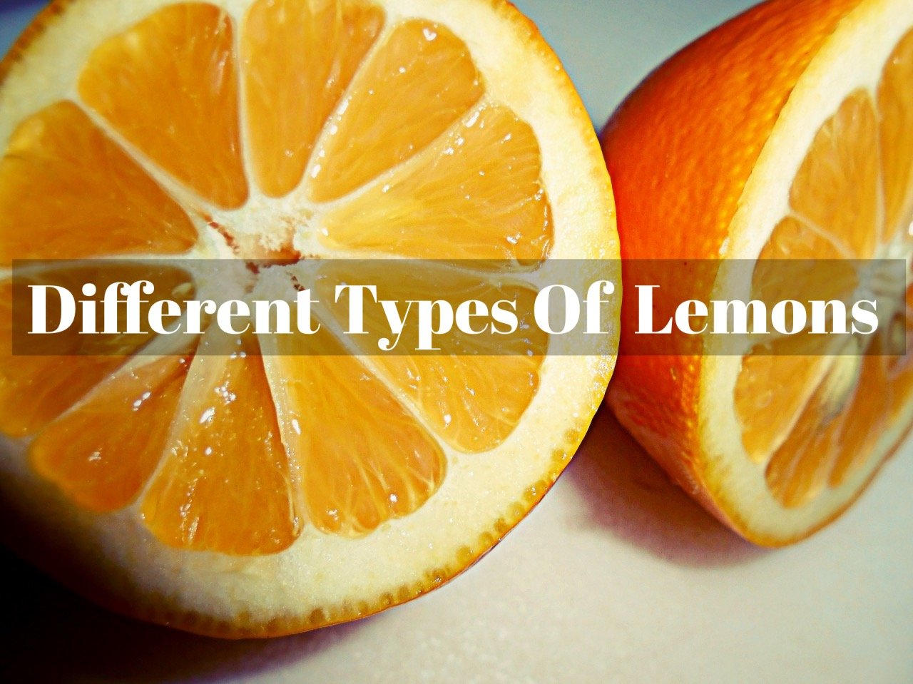 10 Different Types of Lemons