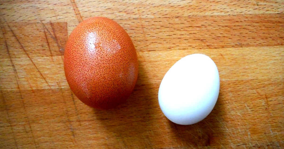 types of eggs