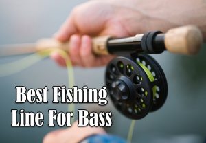 Best Fishing Line For Bass