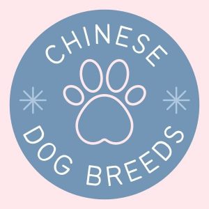 Chinese dog breeds
