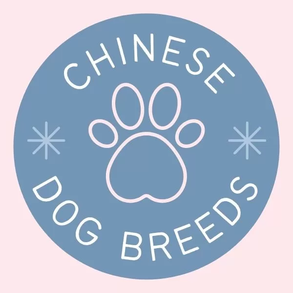 Different Types Of Chinese Dog Breeds