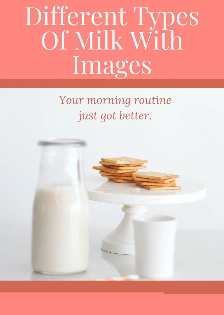 12 Different Types Of Milk With Images
