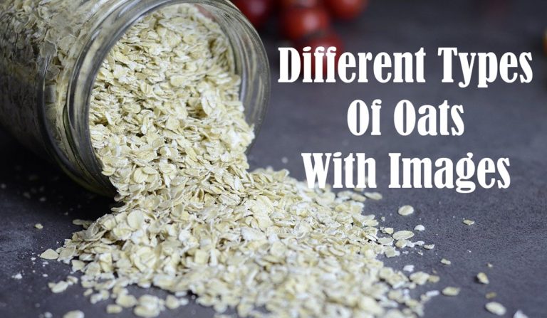 8 Different Types Of Oats With Images