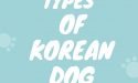 Different Types of Korean Dog Breeds