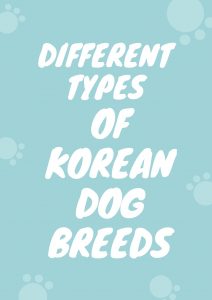 Korean dog breeds