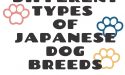 Different Types Of Japanese Dog Breeds