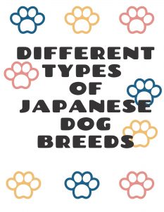 Japanese dog breeds