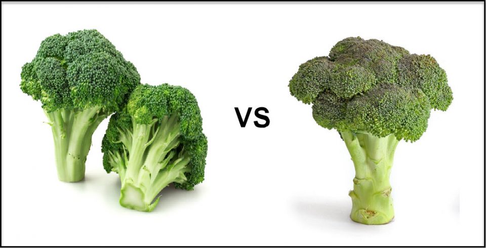 eat a bad broccoli