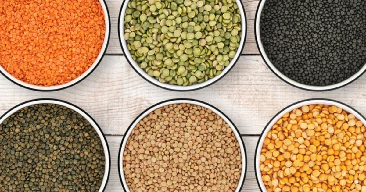 Different types of lentils