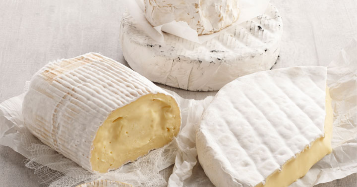 White mold cheese
