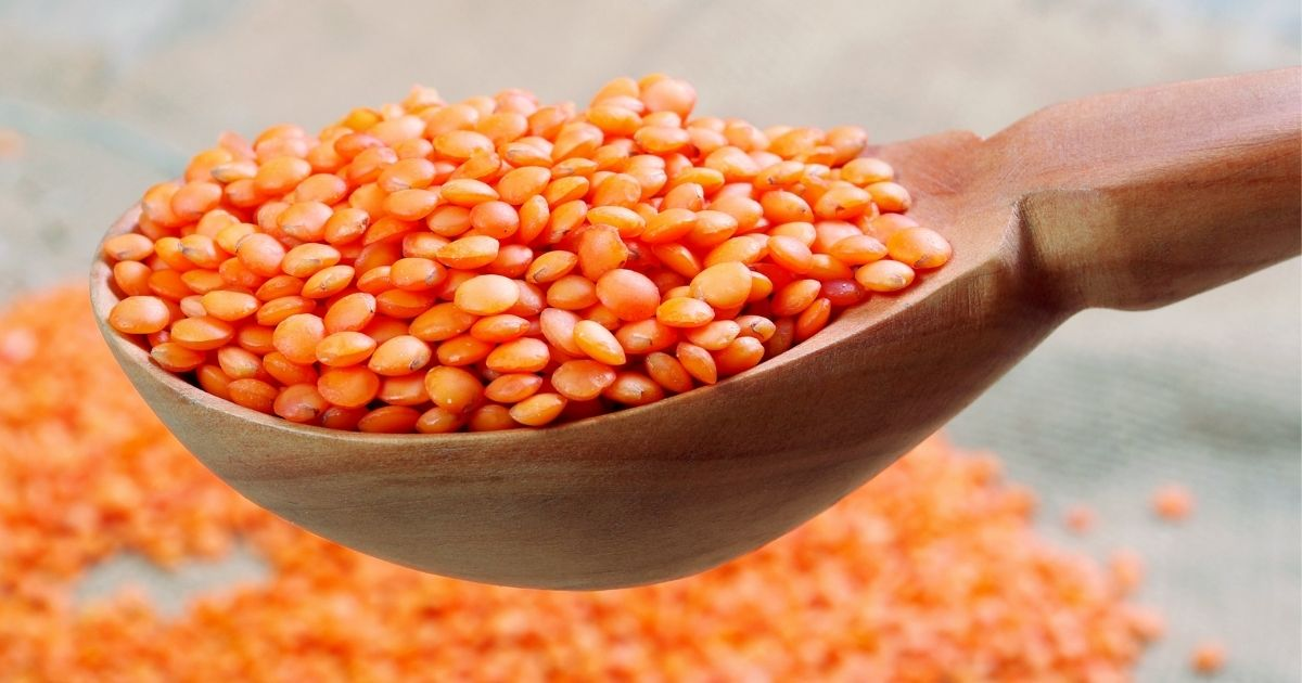 Red lentils