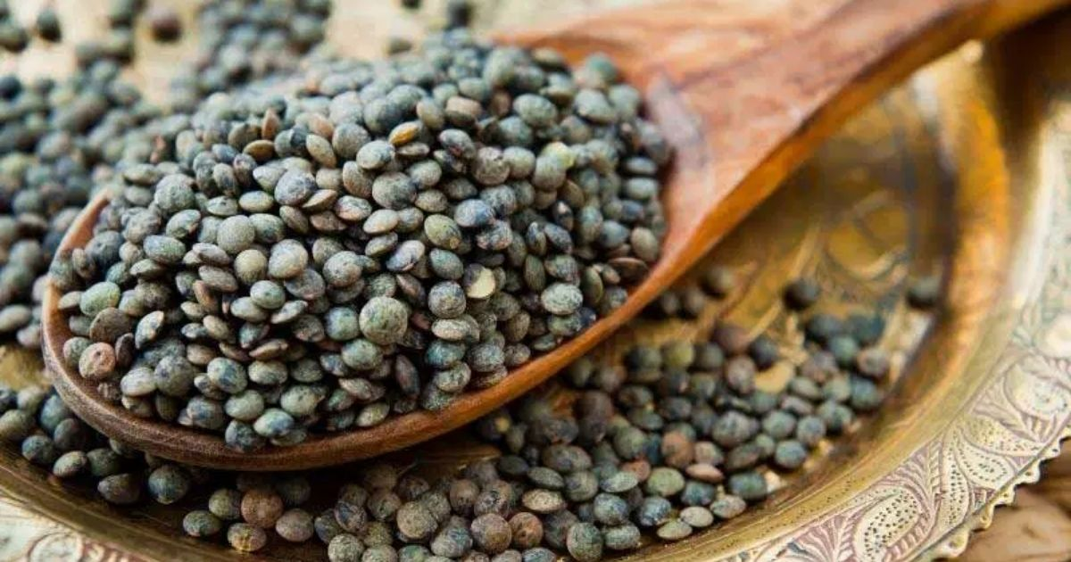 Puy lentils or French lentils