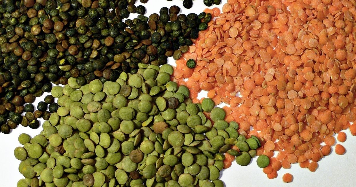 Different types of lentils