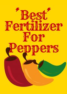 Best Fertilizer For Peppers