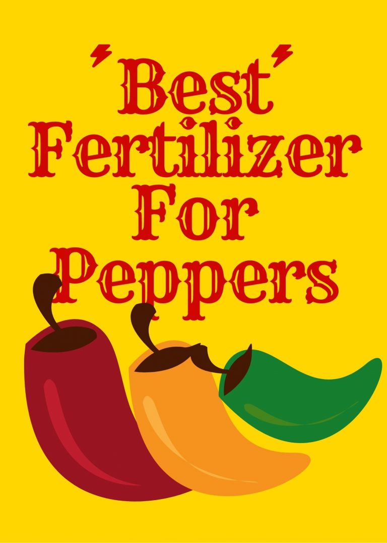 5 Best Fertilizer For Peppers