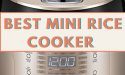15 Best Mini Rice Cooker in 2022