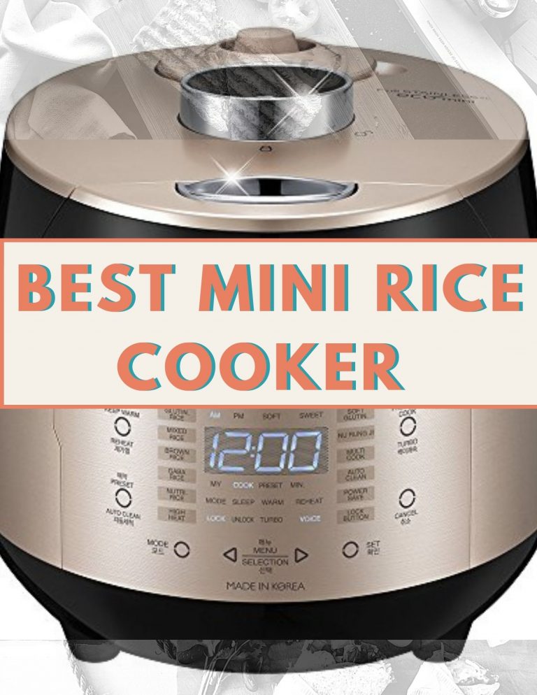 15 Best Mini Rice Cooker in 2024