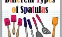 3 Different Types of Spatulas with Images