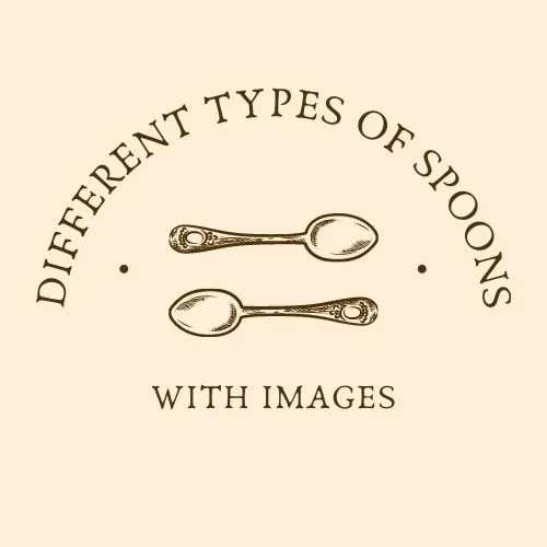 13 Different Types of Spoons With Images