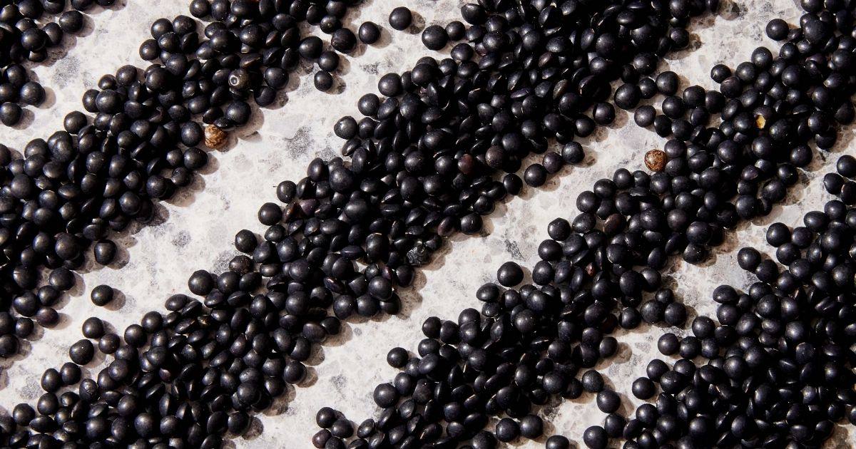 Black lentils