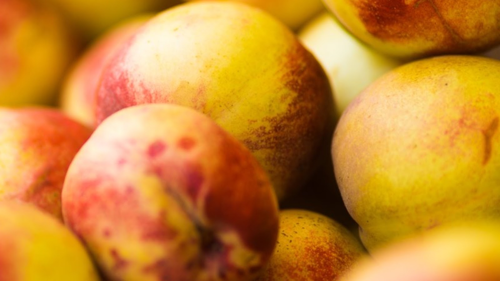 types of nectarines