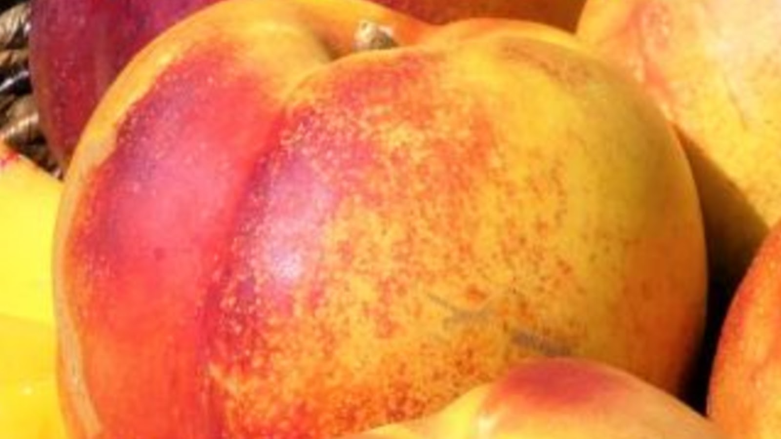 types of nectarines