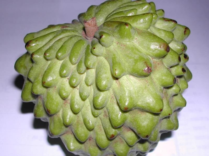  types of cherimoya