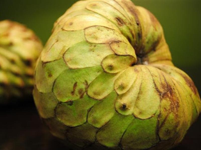  types of cherimoya